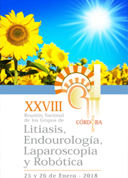 XXVIII Reunión Nacional de los Grupos de Litiasis y de Endourología, Laparoscopia y Robótica de la AEU