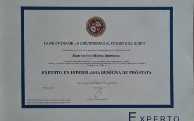 Experto en HBP